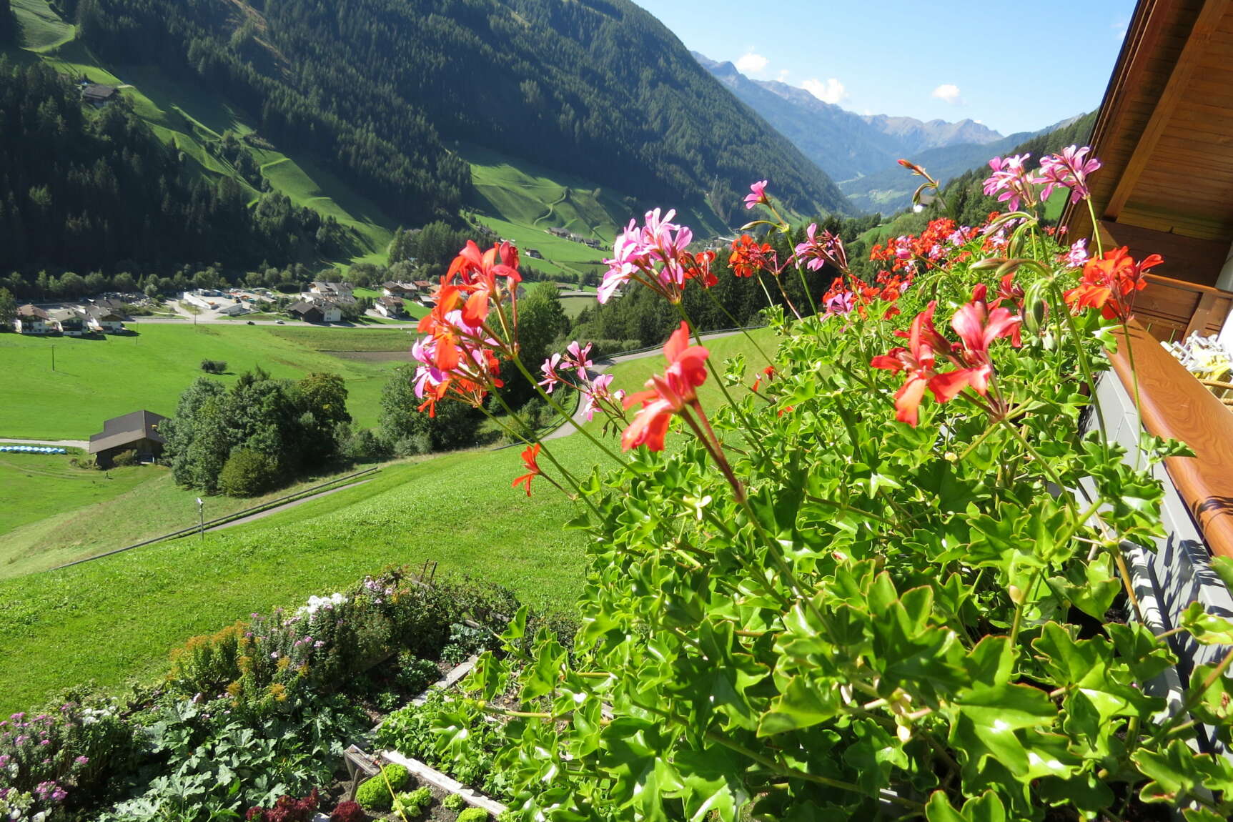 Alpenrose Talauswärts Mit Bauerngarten